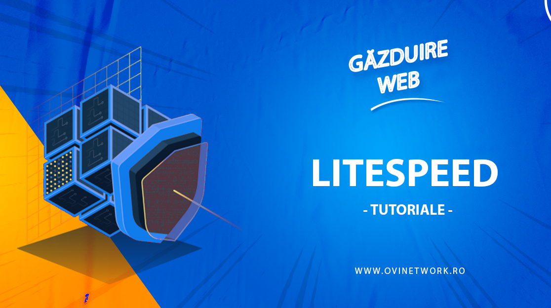 Configurare LiteSpeed și reCAPTCHA împotriva boților