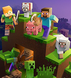 Găzduire Minecraft
